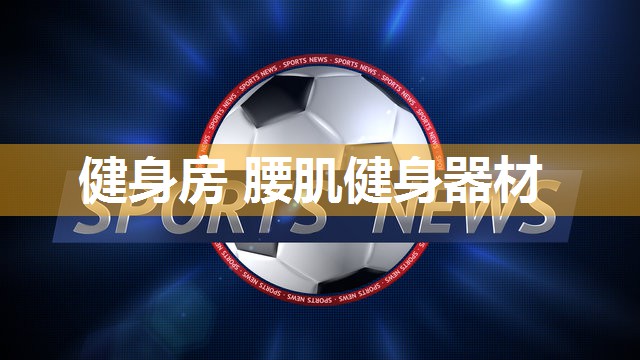 健身房 腰肌健身器材