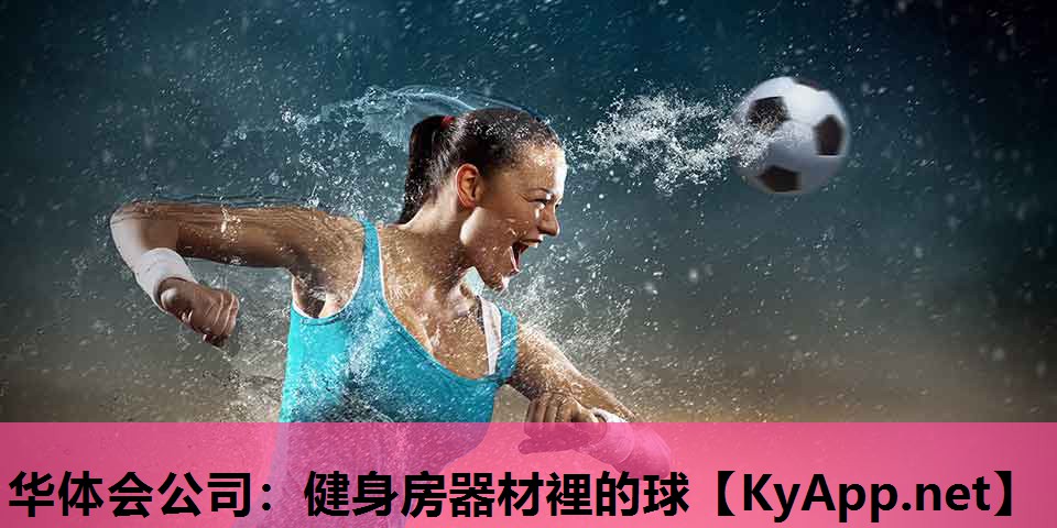华体会公司：健身房器材裡的球