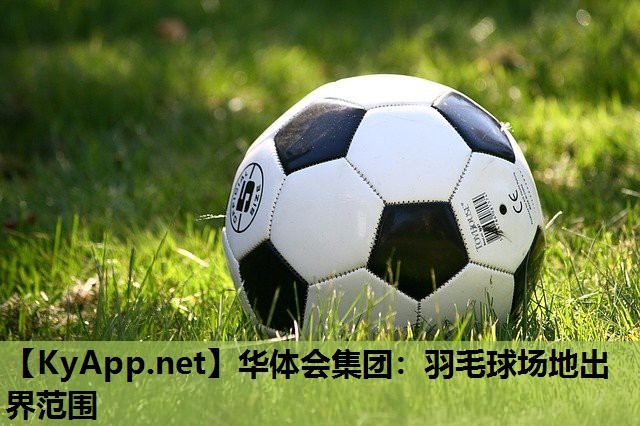 华体会集团：羽毛球场地出界范围