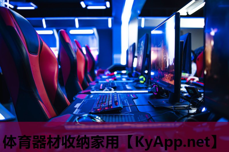 体育器材收纳家用