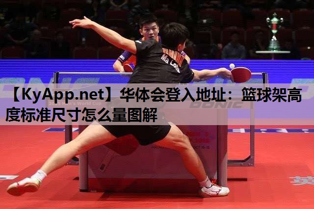 华体会登入地址：篮球架高度标准尺寸怎么量图解