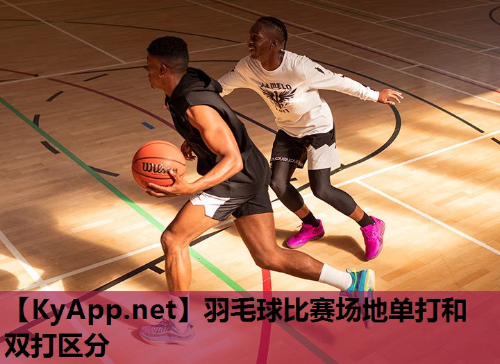 羽毛球比赛场地单打和双打区分