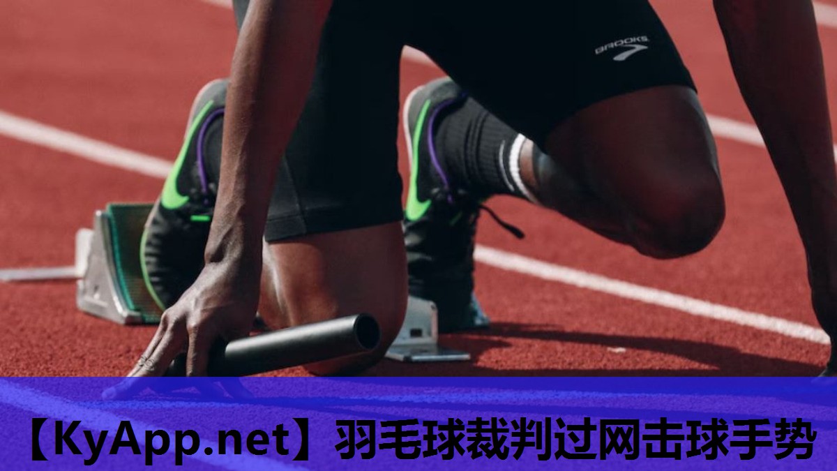 羽毛球裁判过网击球手势