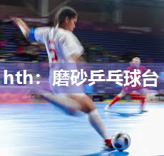 磨砂乒乓球台