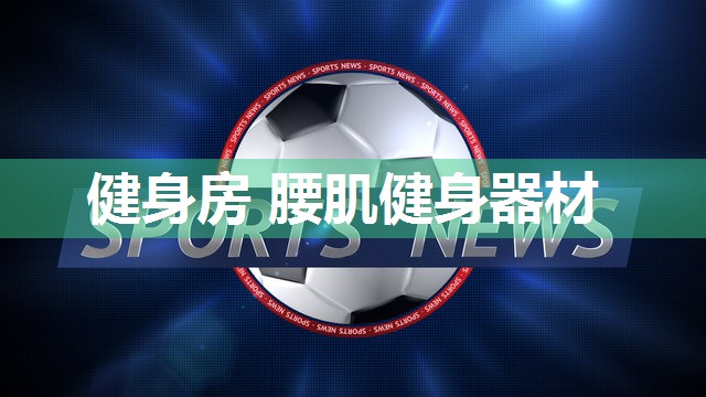 健身房 腰肌健身器材