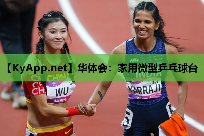 家用微型乒乓球台 家用微型乒乓球台