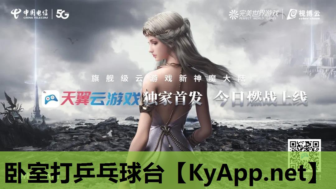 卧室打乒乓球台 卧室打乒乓球台