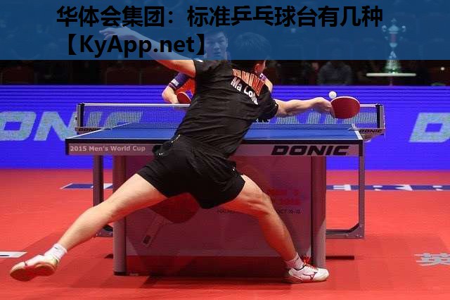 标准乒乓球台有几种 标准乒乓球台有几种