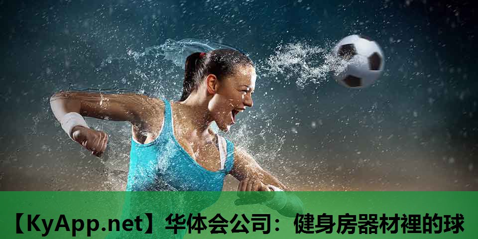 健身房器材裡的球 健身房器材裡的球