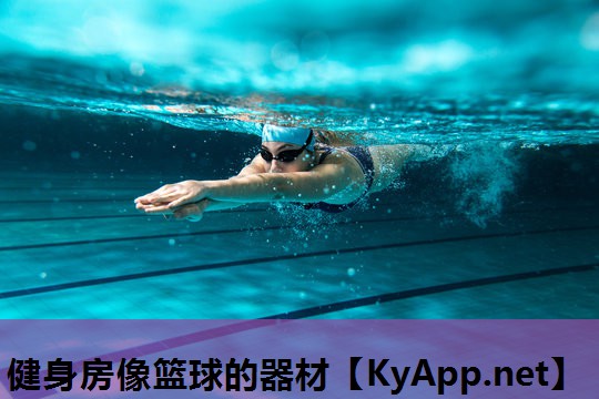 健身房像篮球的器材 健身房像篮球的器材