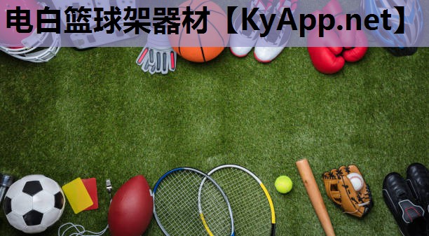 电白篮球架器材 电白篮球架器材