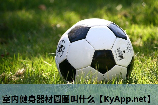 室内健身器材圆圈叫什么 室内健身器材圆圈叫什么