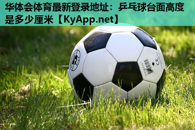 乒乓球台面高度是多少厘米 乒乓球台面高度是多少厘米