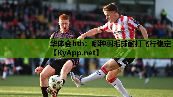 哪种羽毛球耐打飞行稳定 哪种羽毛球耐打飞行稳定