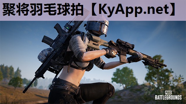 聚将羽毛球拍 聚将羽毛球拍