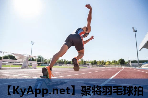 聚将羽毛球拍 聚将羽毛球拍