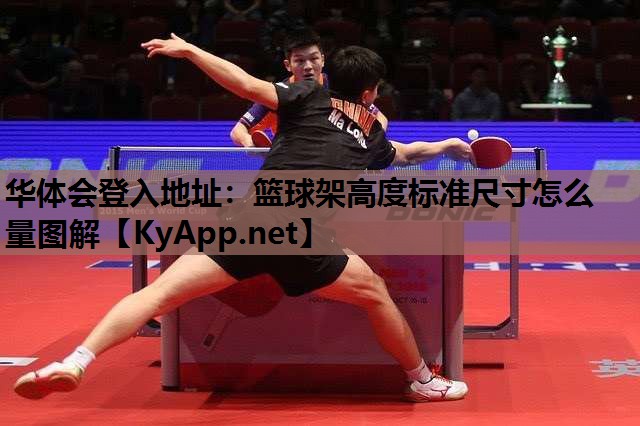 篮球架高度标准尺寸怎么量图解 篮球架高度标准尺寸怎么量图解