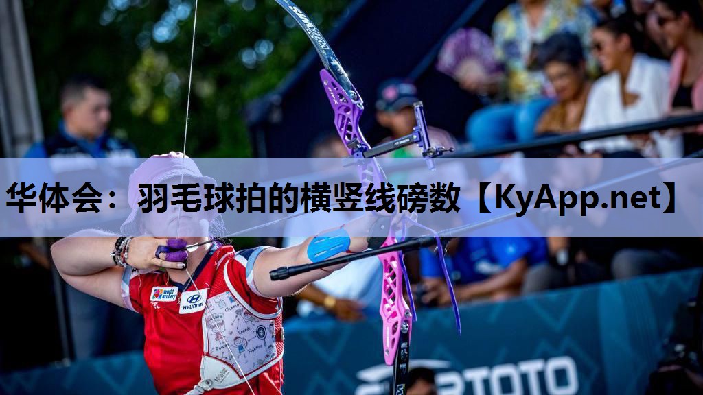 羽毛球拍的横竖线磅数 羽毛球拍的横竖线磅数