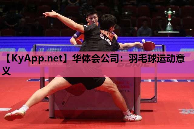 羽毛球运动意义 羽毛球运动意义