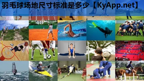 羽毛球场地尺寸标准是多少 羽毛球场地尺寸标准是多少
