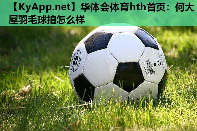何大屋羽毛球拍怎么样 何大屋羽毛球拍怎么样